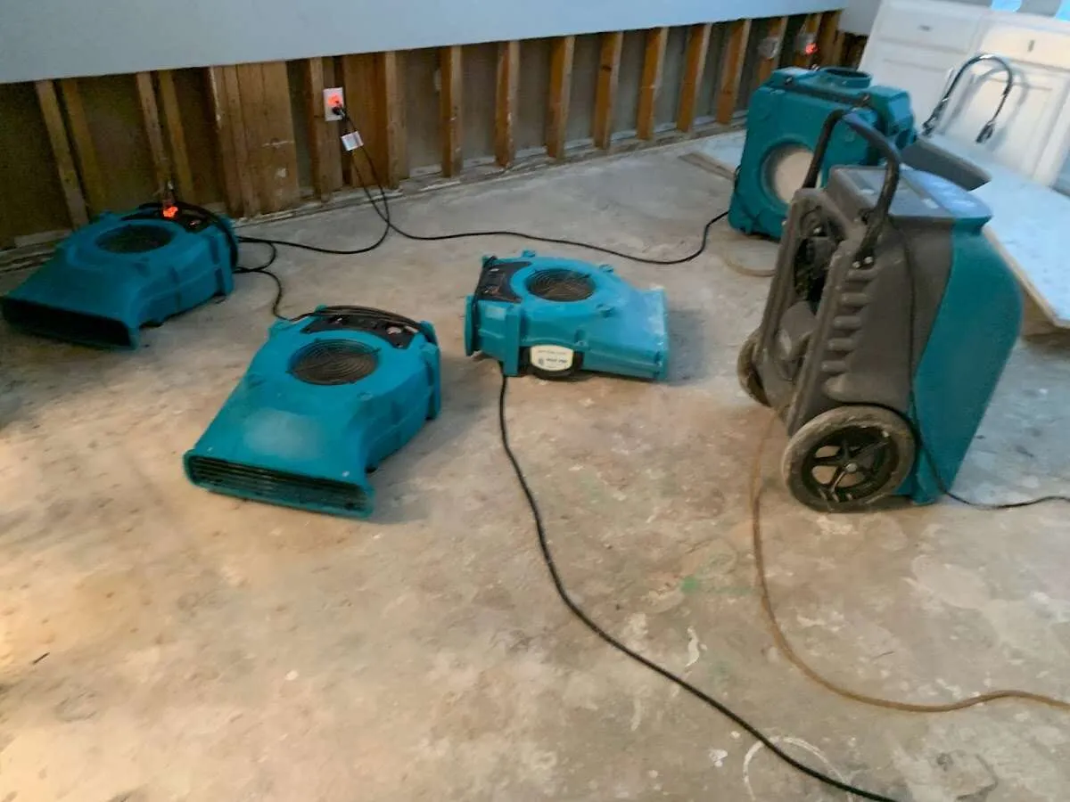 Water Damage Restoration services in New Castle, DE